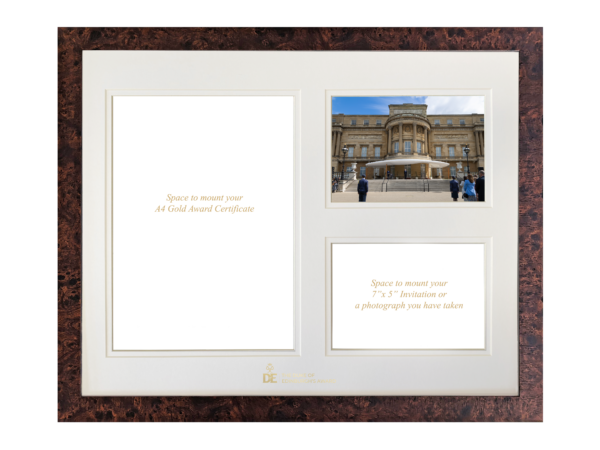 Tri-Aperture Mount - Gold Award Certificate Aperture and Two 7"x 5" Apertures including a photograph - Image 2