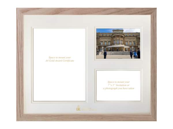 Tri-Aperture Mount - Gold Award Certificate Aperture and Two 7"x 5" Apertures including a photograph - Image 4