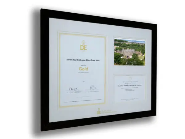 Tri-Aperture Mount - Gold Award Certificate Aperture and Two 7"x 5" Apertures including a photograph (S) - Image 7