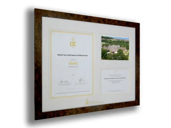 Tri-Aperture Mount - Gold Award Certificate Aperture and Two 7"x 5" Apertures including a photograph (S)