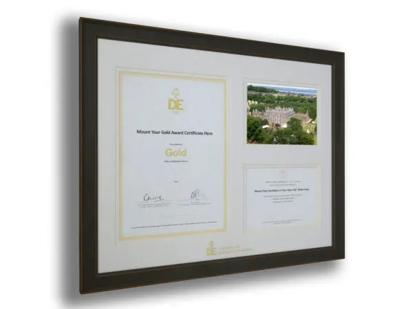 Tri-Aperture Mount - Gold Award Certificate Aperture and Two 7"x 5" Apertures including a photograph (S) - Image 9