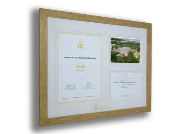 Tri-Aperture Mount - Gold Award Certificate Aperture and Two 7"x 5" Apertures including a photograph (S) - Image 4